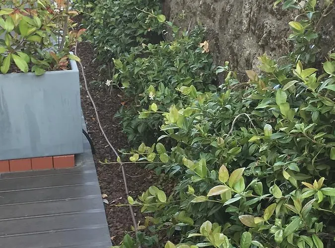 Medieval De Hotel Penedono